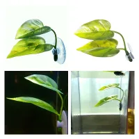 Betta Fish Leaf Hammock Decor thumbnail 3
