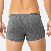 Men's Pure Cotton Boxer Briefs - Large thumbnail 2