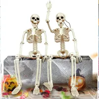 Halloween Skeleton Decoration Prop thumbnail 3