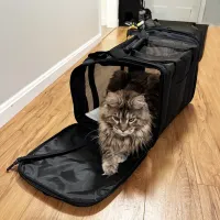 Foldable Waterproof Cat Carrier Backpack thumbnail 4