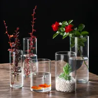 Glass Cylinder Vases Set thumbnail 1