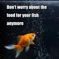 Automatic Aquarium Fish Feeder Timer thumbnail 6