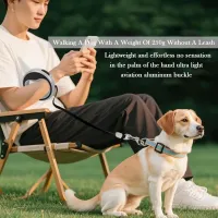 Heavy-Duty Retractable Dog Lead thumbnail 4