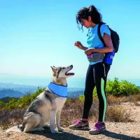 Adjustable Dog Cooling Bandana thumbnail 4
