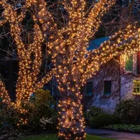 Solar LED Fairy String Lights thumbnail 4