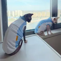 Sphynx Cat Cooling Mesh Vest thumbnail 3