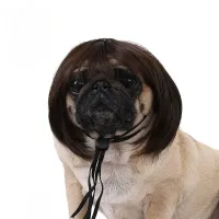 Pet Wig Dog Cat Halloween Costume thumbnail 6
