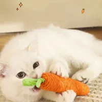 Cat Teething Sound Carrot Toy thumbnail 4