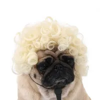 Pet Wig Dog Cat Halloween Costume thumbnail 5