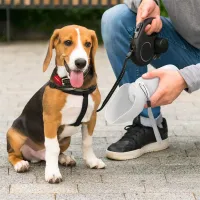 Portable Pet Water Bottle 550ml thumbnail 6