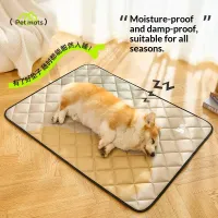 Extra Large Dog Cooling Mat thumbnail 3