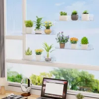 Window Plant Floating Shelves (2-Pack) thumbnail 2