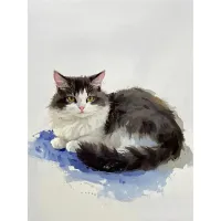 48-Color Granulating Watercolor Set thumbnail 5
