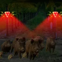 Solar Motion Sensor Alarm Light thumbnail 6