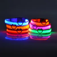 LED Glow in the Dark Dog Leash & Collar thumbnail 3