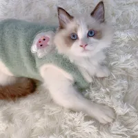 Warm Winter Pet Sweater Vest thumbnail 3