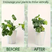 Large Hanging Plant Stand with Iron Hooks thumbnail 6