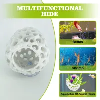 Shrimp Hides Aquarium Betta Hideout thumbnail 2