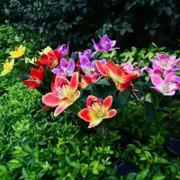 Solar Flower Lights - Multi Color LED thumbnail 3