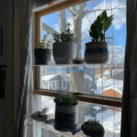 Acrylic Window Plant Shelves thumbnail 4