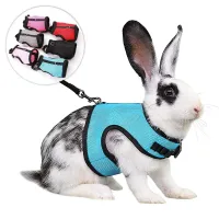 Breathable Small Pet Harness & Leash Set thumbnail 2