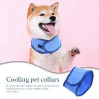 Adjustable Dog Cooling Bandana thumbnail 2