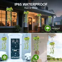 Solar Ivy String Lights thumbnail 5