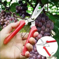 Stainless Steel Straight Head Pruning Shears thumbnail 2