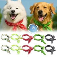 Cooling Pet Ice Bandana thumbnail 1