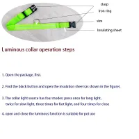 LED Glow in the Dark Dog Leash & Collar thumbnail 5