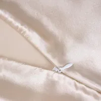 19 Momme Mulberry Silk Pillowcase thumbnail 4