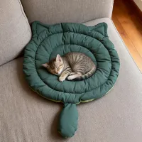 Cooling Leaf Mat for Dogs & Cats thumbnail 2