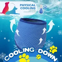 ABKM Dog Cooling Bandana 2 Pack thumbnail 2