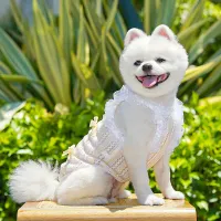 Luxury Dog Suspender Cooling Vest thumbnail 3