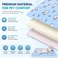 Pet Summer Cooling Beds Mats Cute Cartoon Pattern Cat Dog Sleeping Mat Kennel Ice Silk Cool Pad Floor Sofa Blanket Pet Supplies thumbnail 5