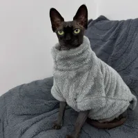 Arctic Velvet Cat Sweater thumbnail 2