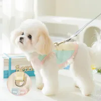 Mesh Dog Cooling Vest thumbnail 3