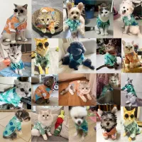 Hawaiian Coconut Print Pet Shirts thumbnail 2