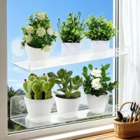 2-Piece Clear Suction Cup Plant Shelf thumbnail 3