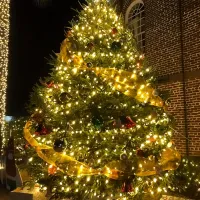 300LED Solar Christmas Lights Outdoor thumbnail 2