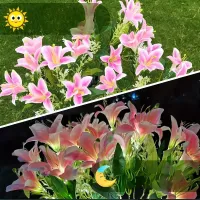 Solar Lily Flower Garden Lights thumbnail 3