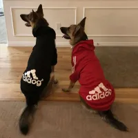 Winter Sport Hoodie Dog Coat thumbnail 4