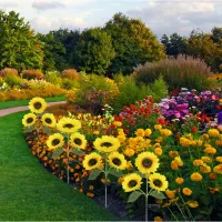 Solar Sunflower Stake Lights thumbnail 4