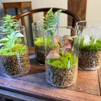 Glass Cylinder Vases Set thumbnail 5