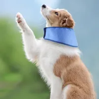 Dog Cooling Scarf Bandana thumbnail 4