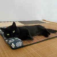 Natural Rattan Cat Cooling Mat thumbnail 6