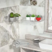 Suction Cup Window Plant Shelf thumbnail 1