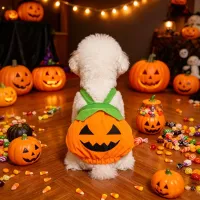 Halloween Pumpkin Pet Costume Overall thumbnail 4
