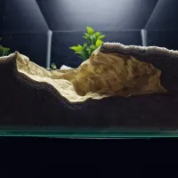 3D Printed Natural Rock Pet Hide thumbnail 1