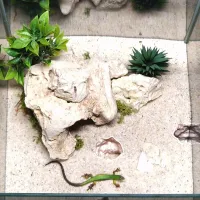 3D Printed Aquarium Tunnel & Cave Decor thumbnail 5